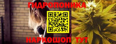 дурь Можга