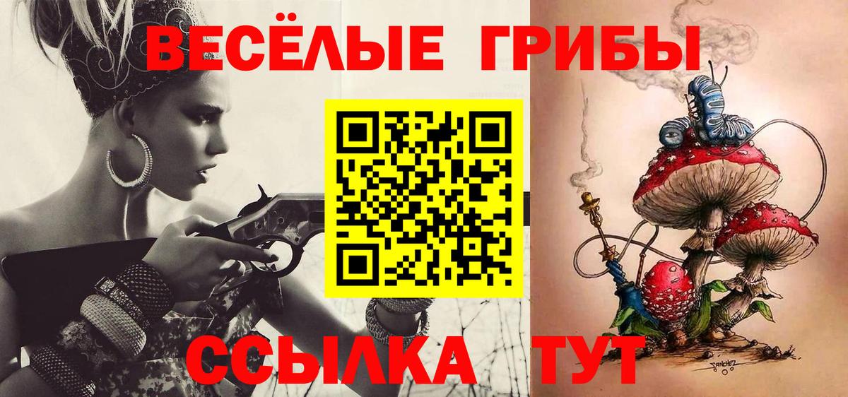 Всеволожск  Галлюциногенные грибы Psilocybe  Вход с VPN 